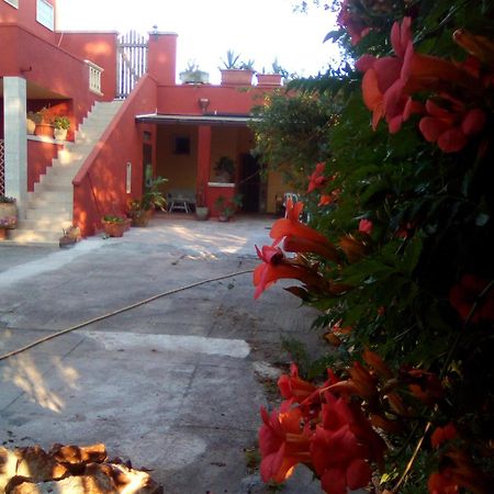 Casa Te La Bradamante Bed & Breakfast Magliano Eksteriør bilde
