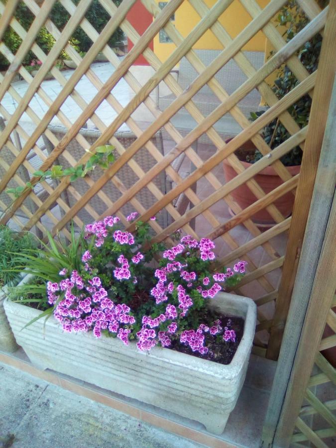 Casa Te La Bradamante Bed & Breakfast Magliano Eksteriør bilde
