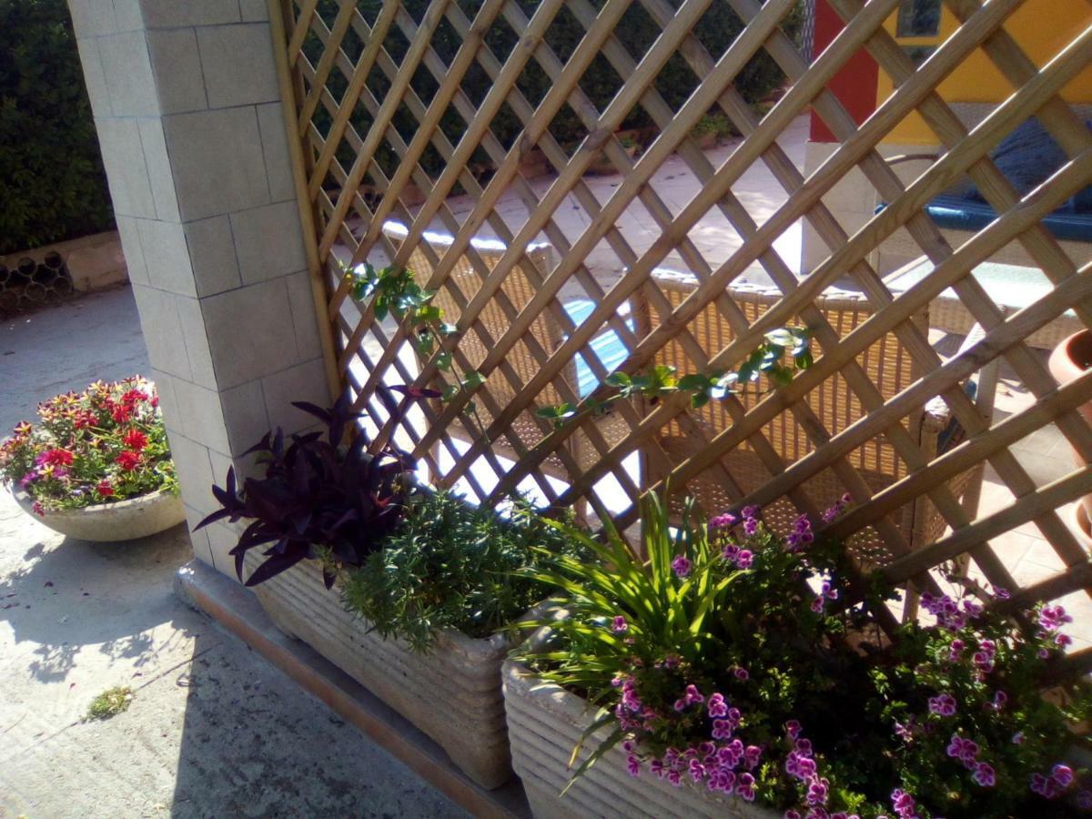 Casa Te La Bradamante Bed & Breakfast Magliano Eksteriør bilde