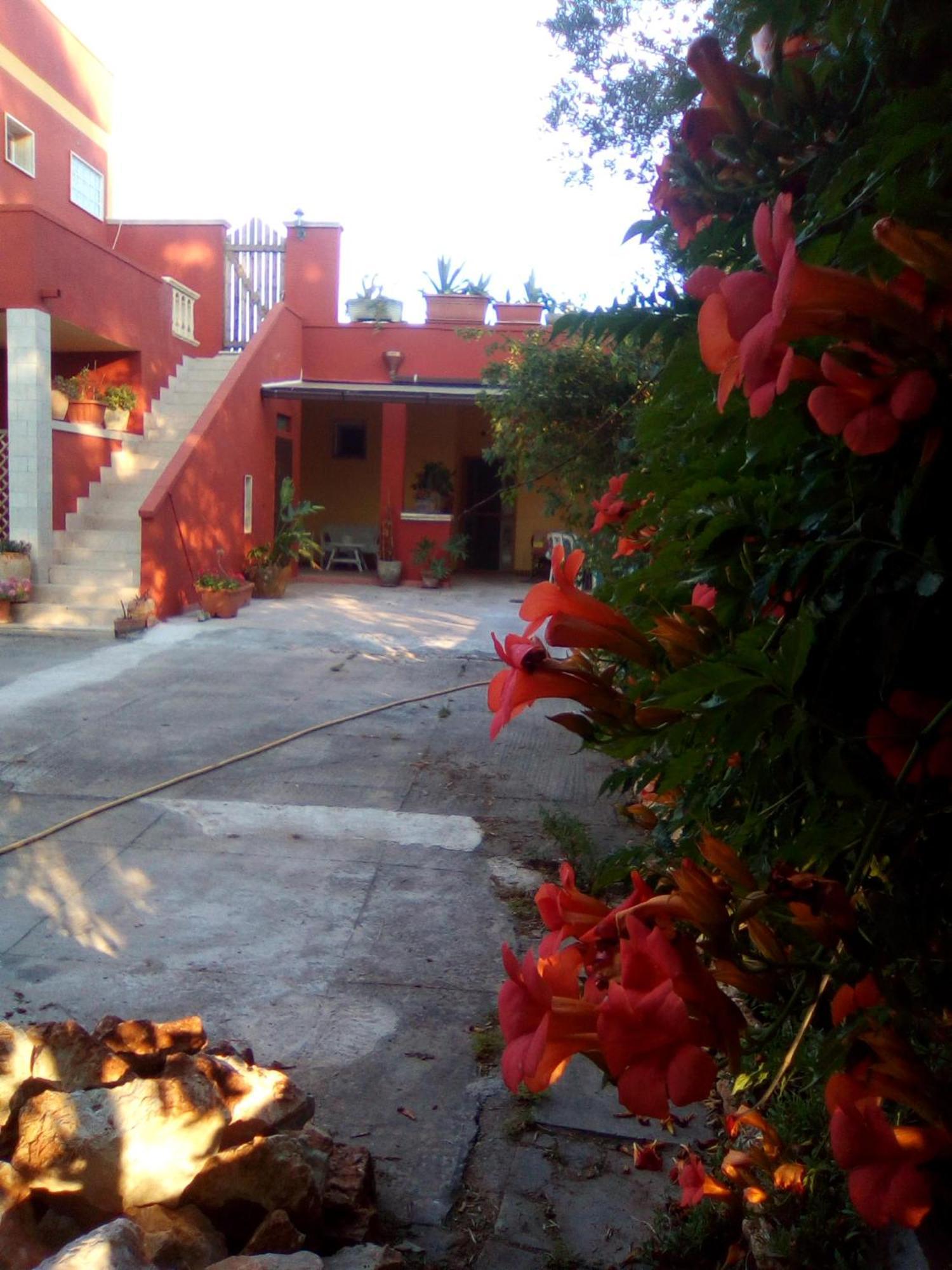 Casa Te La Bradamante Bed & Breakfast Magliano Eksteriør bilde