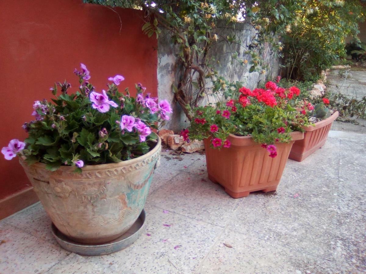 Casa Te La Bradamante Bed & Breakfast Magliano Eksteriør bilde